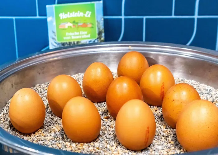 Mercure Center Hotel